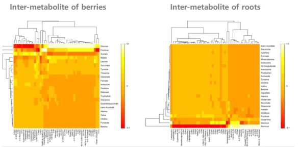 인삼 열매 및 뿌리 시료의 대사체간 상관성 분석 heatmap