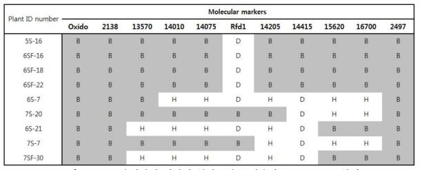 Rfd1 유전자에 연관된 분자표지를 이용한 recombinant 분석