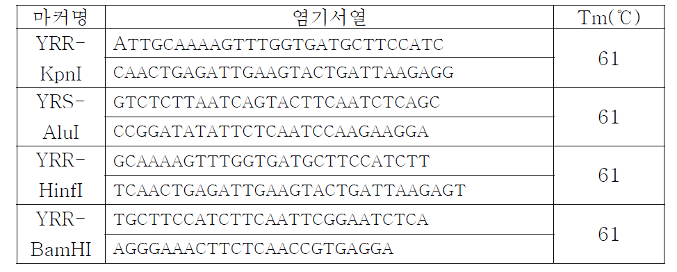 무 위황병 저항성 마커 정보