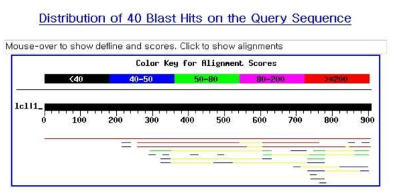 DCJ14-390 염기서열에 대한 blast 분석결과
