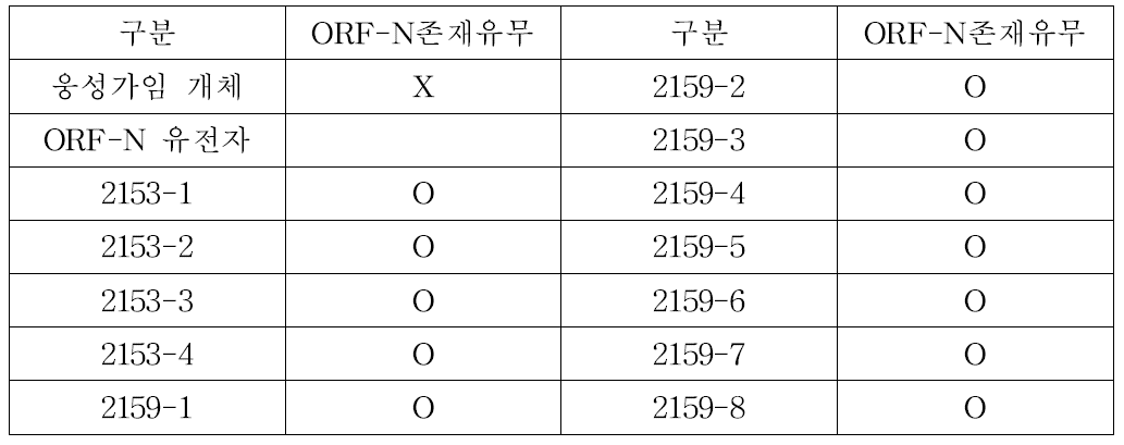 웅성불임 유전자가 도입된 양배추 계통 번호 및 유전자 확인