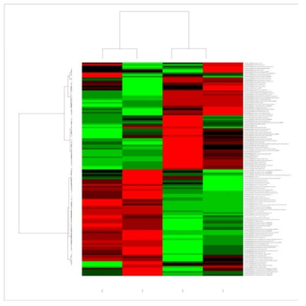 A heatmap of genes expressed specifically in peduncle. X axis indicates comparison groups between “Keumgang” and “Yeongkwang” at different development stages. Red color indicates highly expressed genes and green color indicates genes with low expression level in “Keumgang” compared to “Yeongkwang”