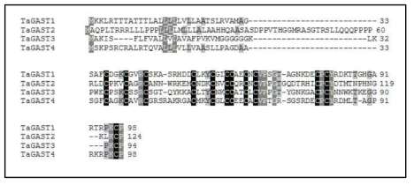 Multiple sequence alignment of the conserved C-terminal domain of the 4 putative TaGAST proteins