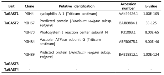 List of proteins that potentially interact with TaGAST protein