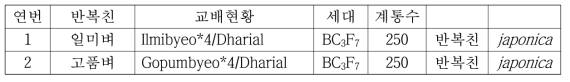 Dharial을 공여친으로 일미와 고품벼을 이용한 AB-RIL 계통