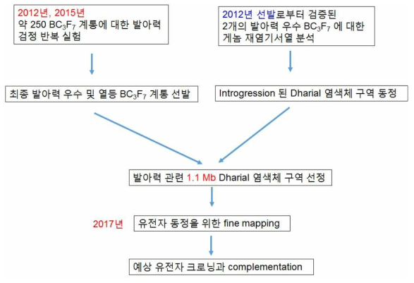 Dharial에 존재하는 발아력향상/미질유지 유전자 크로닝을 위해 수행한 연구 전략