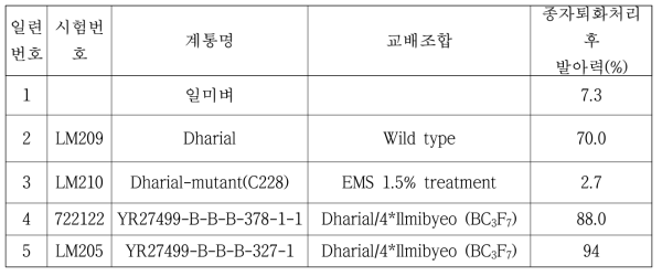 게놈 재염기서열을 수행한 일미, 고품벼, 및 발아력 우수 BC3F7 계통들