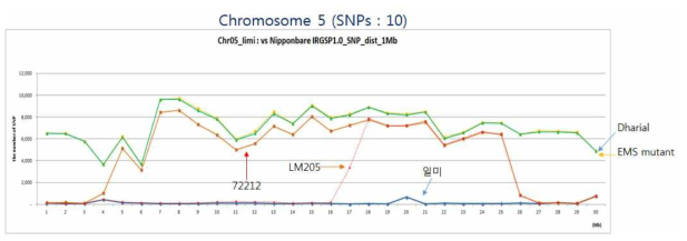 각 계통의 염기서열에서 1 megabase 당 니폰바레 게놈 염기서열에 대한 SNP 비율을 보여 주는 5번 염색체 지도