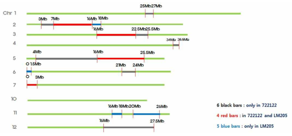 발아력 우수 일미벼 BC3/F7 계통 722122와 LM205에 삽입된 15개의 Dharial chromosomal fragments. 두 계통에 공통적으로 존재하는 4 Dharial fragment는 빨간색, 722122 에만 존재하는 6 개는 검정색, LM205계통에만 존재하는 7개는 청색으로 표시하였다