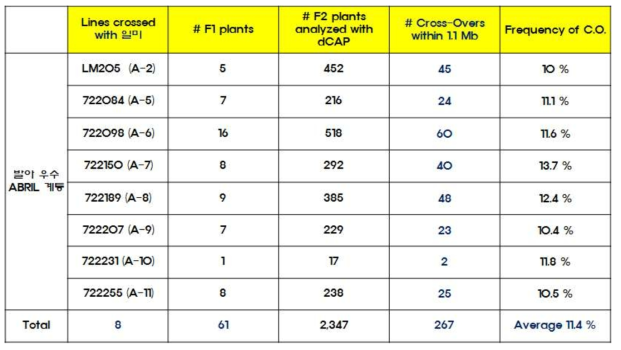 1.1 Mb 내의 cross-over 찾기 위해 일미벼와 교배한 8개의 우수 발아 계통과 F1, 분석한 F2 개체수, 선발된 cross-over 개체 수 및 각 교배당 평균 cross-over 비율