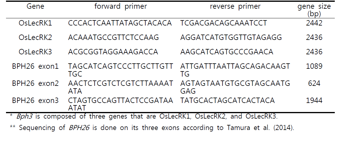 The list of primers for amplification of Bph3 and BPH26 genes of Gayabyeo