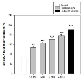 Periplanetasin-2로 인한 미토콘드리아 내의 활성산소종 축적
