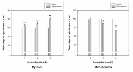 미토콘드리아에서 세포질로 cytochrome c 유출 유도 확인