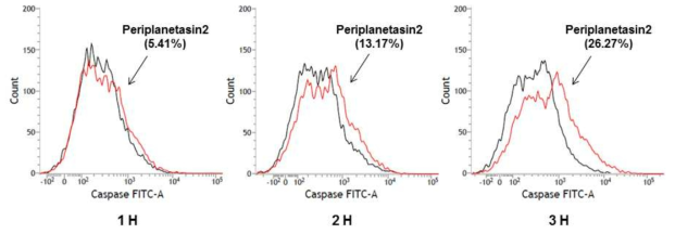 Periplanetasin-2로 인한 caspase 활성화 유도