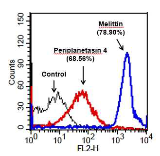 PI influx를 통해 Periplanetasin-4 에 의한 진균막 손상 관찰