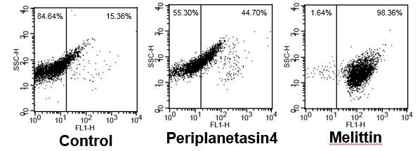 DiBAC4(3) staining을 통한 Periplanetasin-4에 의한 plasmamembrane depolarization 관찰
