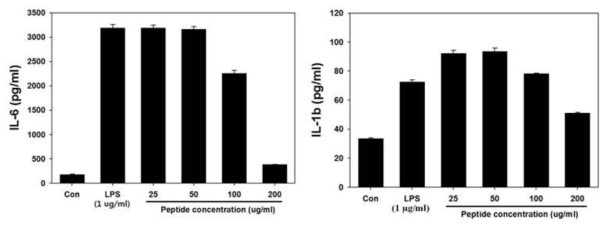 선별 펩타이드의 농도에 따른 사이토카인의 발현 저해 확인