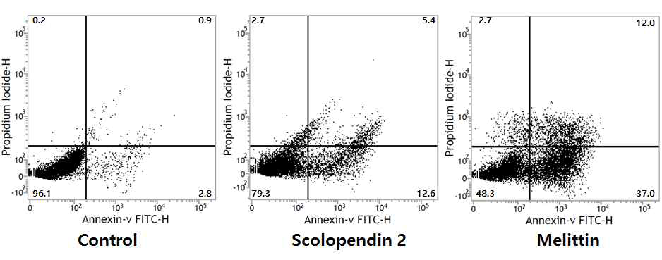 Scolopendin 2로 인한 포스파티딜세린 노출