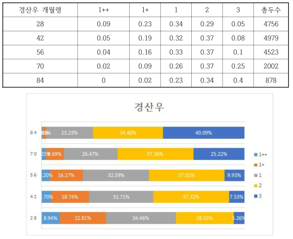 도축개월령에 따른 경산우 육질등급 비율