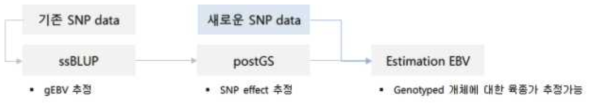추정된 마커효과를 이용한 유전체 육종가 추정 흐름도