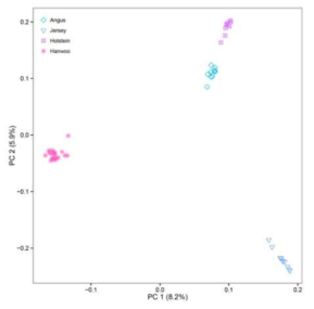 상업적 소 품종별 Principal component analysis (PCA) 분석