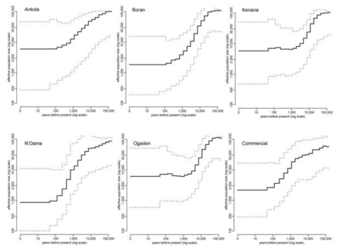 아프리카 소 품종 사이의 effective population size 분석