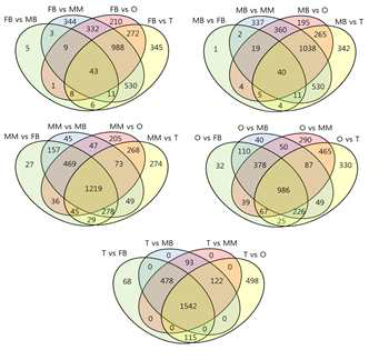 Venn diagram for comparing DEG list from the pairwise statistical tests using contrast matrix on five tissues such as FB, MB, M, O, and T. Values represent number of significant DEGs