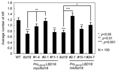 Numbers of adventitious roots of lbd16, lbd18, and their complementation lines (ProLBD16:LBD16:myc/lbd16 and ProLBD16:LBD16:myc/lbd16). Plates in which seeds were sterilized and sowed were incubated at 4℃ for 48 h for stratification and transferred to the light for 5 hours to induce germination. They were then wrapped with three layers of aluminum foil and kept in the dark until the seedling hypocotyls reached an average length of 6 mm. Seedlings were then transferred to the light for induction of adventitious roots. Adventitious roots were counted, and the primary root length measured 7 d after transfer to the light. Mean ± SE values were determined from n = three biological replicates. Asterisks denote statistical significance at P < 0.05 (*), P < 0.01 (**), and P < 0.001 (***)