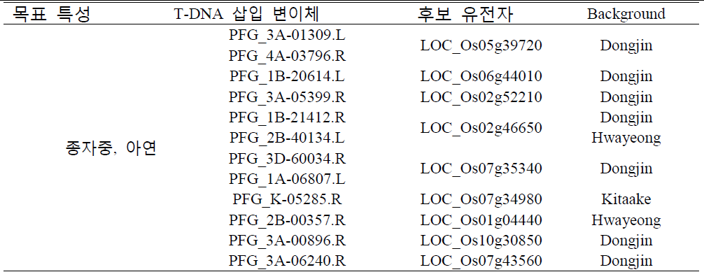 List of T-DNA insertion lines