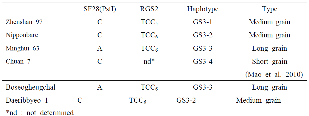Genotypes and haplotypes of the parents and the check lines in GS3