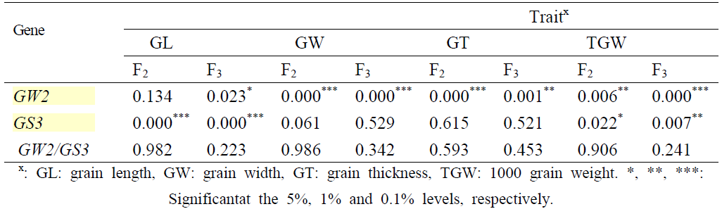 Two-way ANOVA of the GW2 and GS3 genes in the F2:3 population