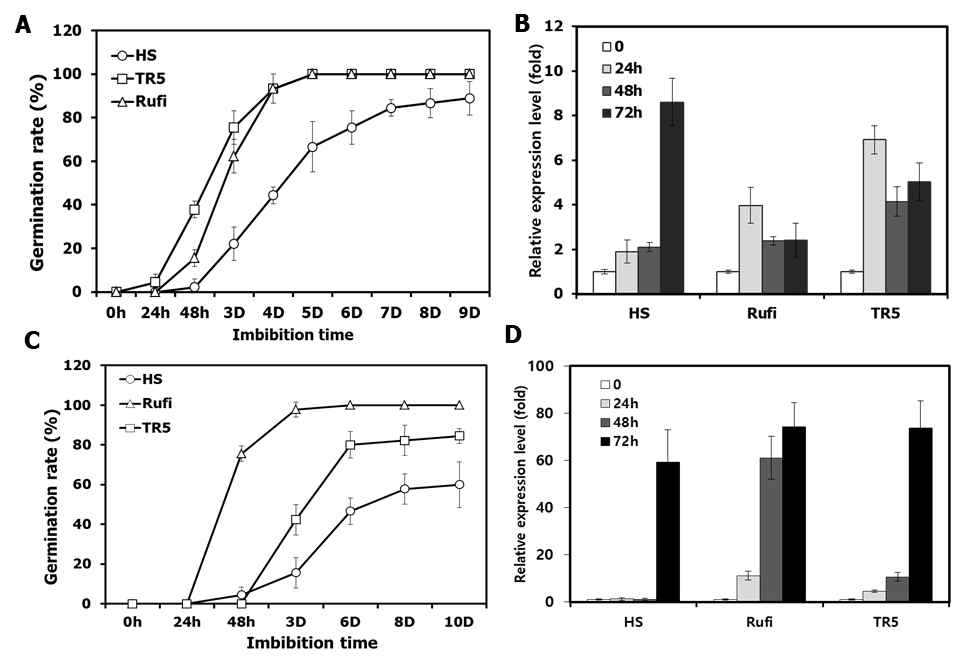 Germination rate under abiotic stresses in three different rice seeds. (A) High osmolarity, 500 mM mannitol, (B) Expression levels of the LOC_Os01g10040 gene in HS, O.rufipogone and TR5 at high osmolarity condition. (C) High salt, 250 mM NaCl. (D) Expression levels of the LOC_Os01g10040 gene in HS, O.rufipogone and TR5 at high salt condition