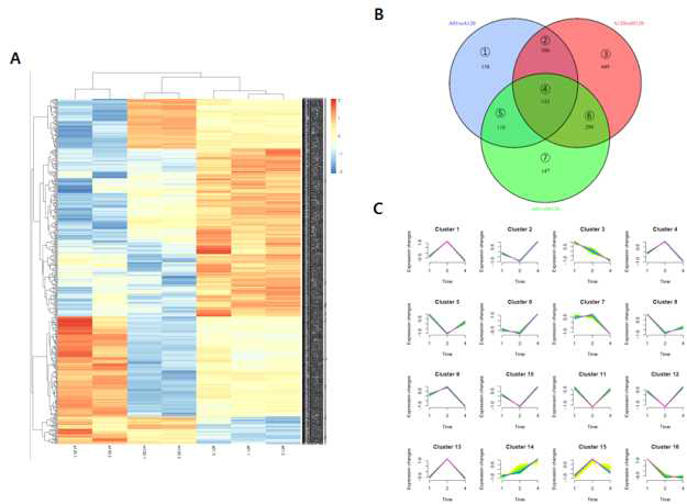 고염적응성 세포주를 이용한 RNA-deep sequencing 결과 분석