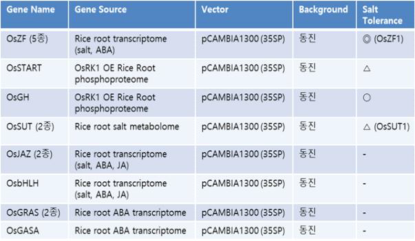 내염성 분석에 사용된 유전자 및 형질전환 벼 목록 (선행연구결과 종합)