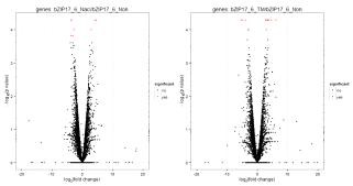 bZIP17 감자 형질전환체의 TM과 NaCl 처리에 대한 RNA-seq 발현 양상