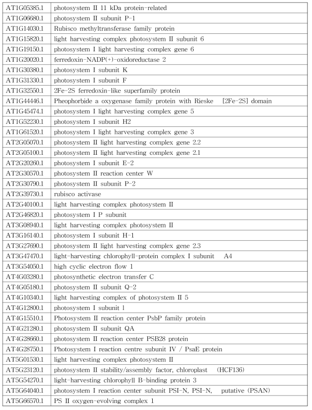 List of selected nuclear-encoded chloroplast-targeted genes involved in photosynthesis