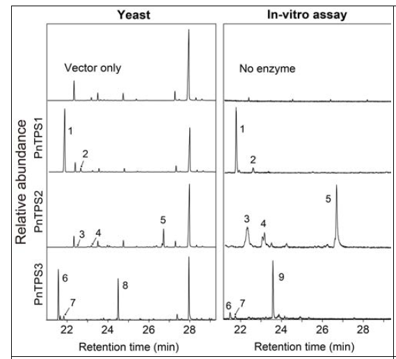 Total ion chromatogram of fermentation broth extract (left side column) and in-vitro enzyme assays (right side column)