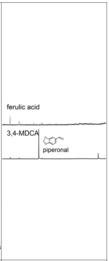 In-vitro reaction of ferulic acid and 3,4-MDCA. Only 3,4-MDCA feeding yielded piperonal. Ferulic acid gave no reaction product