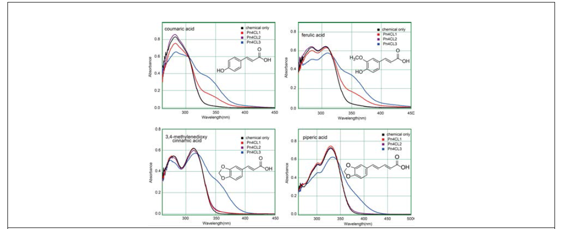 In-vitro reaction of Pn4CLs determined by spectrophotometric analysis