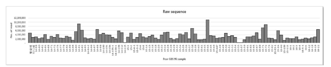 양친(‘황금배’, ‘미니배’) F1의 GBS raw data 분포
