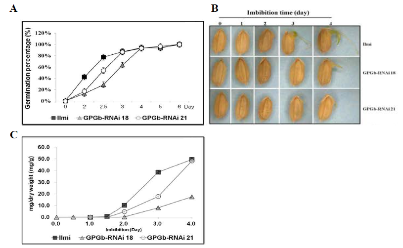 GPGb-RNAi 형질전환 벼 종자 침수발아율 비교 분석. 일반벼와 GPGb-RNAi 형질전환 벼 종자들의 침수 발아율 (A) 및 표현형 (B) 비교. 발아 시기별 벼 종자 내 환원당함량 변화 비교 분석 (C)