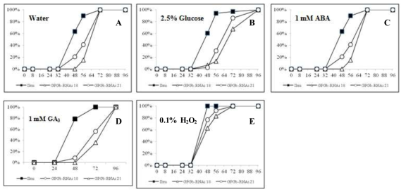 다양한 조건에서 일반벼와 GPGb-RNAi 형질전환 벼 종자 발아율 비교 분석. 증류수 (A), 2.5% glucose (B), 1 mM ABA (C), 1 mM GA3 (D), 0.1% H2O2 조건에서 일반벼와 GPGb-RNAi 형질전환 벼 종자들의 발아율 비교