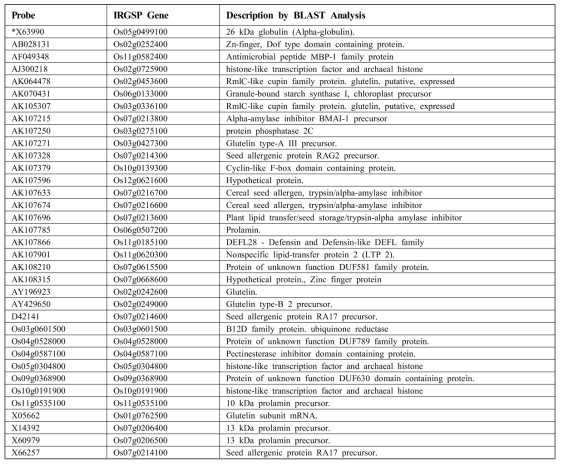 벼 globulin 유전자와 상호작용하여 발현하는 유전자 리스트