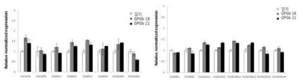 발아 지연 회복 관련 유전자들의 qRT-PCR 분석 결과