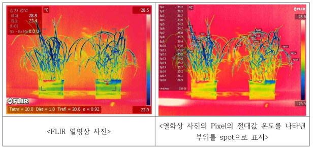 열화상 디지털 사진을 활용한 잎의 온도변화 측정