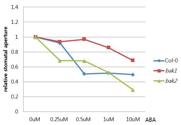 Stomatal closing in response to ABA in bak2 compared with that of bak1 and wild type