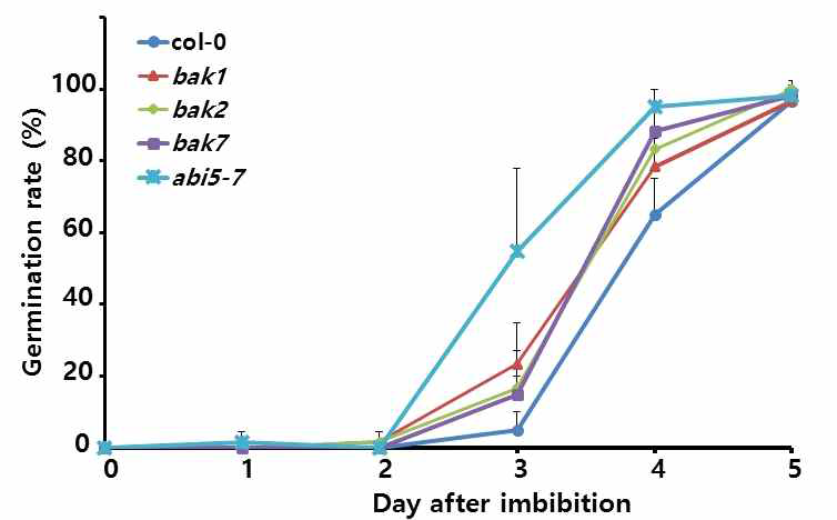 ABA sensitivity of the bak1, bak2 and bak7 compared to wild type and abi5-7 in seed germination in response to ABA