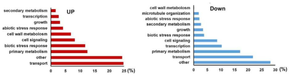 Gene ontology-based summary of the up- and down-regulated genes in BAK1OE11-5 plants determined by microarray analyses