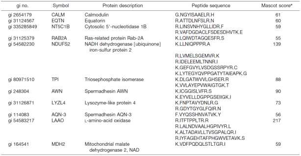 식별된 차등 발현 단백질 리스트