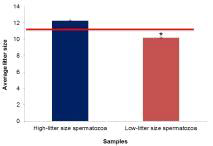 높은 산자수와 낮은 산자수 정자 샘플의 평균산자수